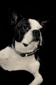 Molly&squot;s Headshot